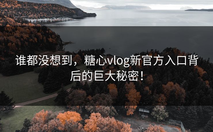 谁都没想到，糖心vlog新官方入口背后的巨大秘密！