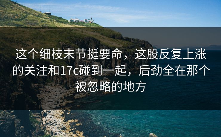 这个细枝末节挺要命,这股反复上涨的关注和17c碰到一起,后劲全在那个被忽略的地方 这个细枝末节挺要命,这股反复上涨的关注和17c碰到一起,后劲全在那个被忽略的地方